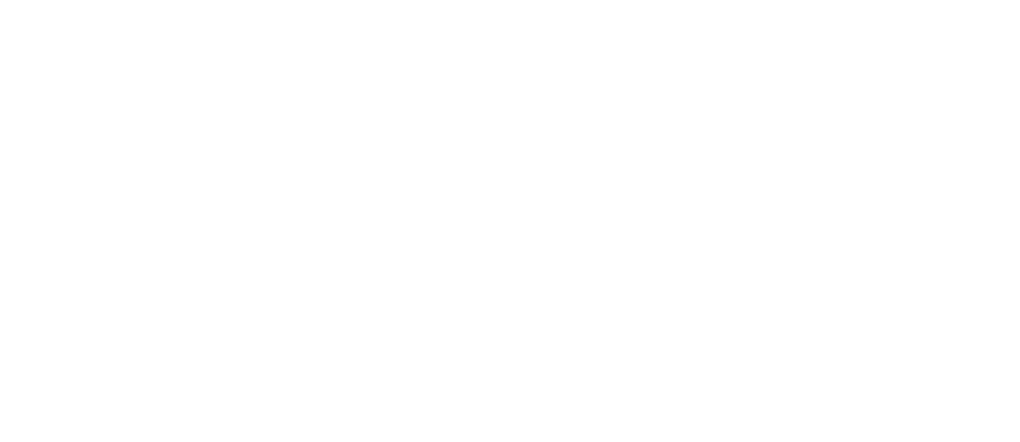 Big Falcon Digital